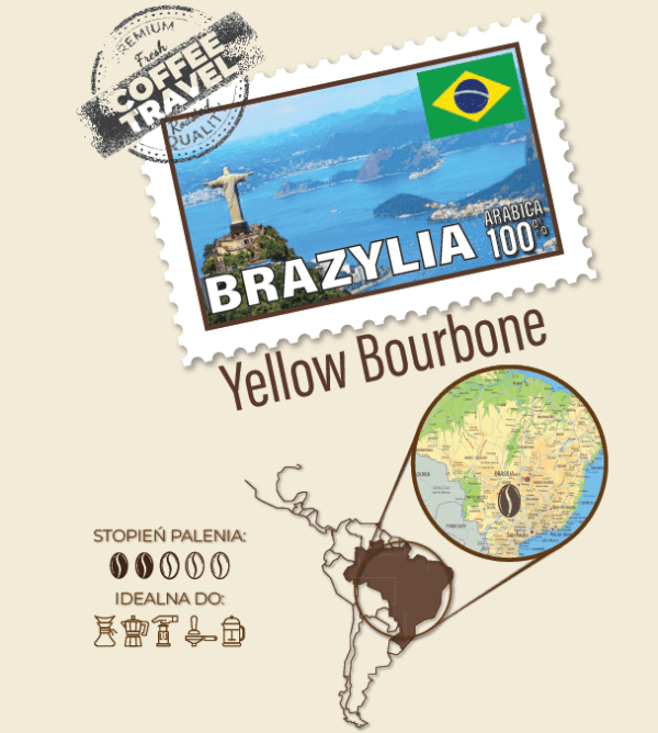 BRAZYLIA Yellow Bourbone